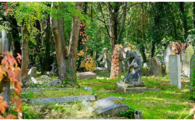 Quedarse sin espacio: qué sucede cuando los cementerios están llenos