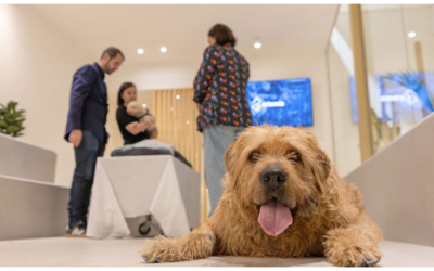 Grupo Albia y Áltima presentan Artemis, su nueva línea de despedida para mascotas