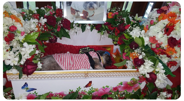 Las personas que gastan una fortuna en los funerales de sus mascotas