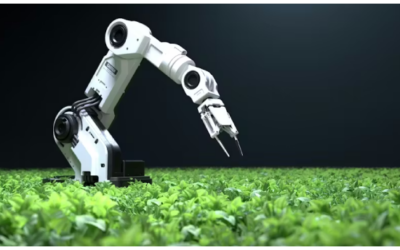 Green Automation: robótica avanzada al servicio de la sostenibilidad