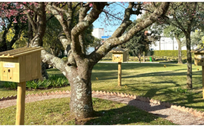 Las abejas nativas sin aguijón: guardianas de la biodiversidad en Jardim da Saudade