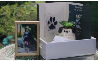 Grupo Resurrección ofrece servicio innovador para mascotas: Kipets