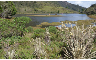 Empresa de la Industria Funeraria es finalista de los “Oscar” latinoamericanos del medio ambiente