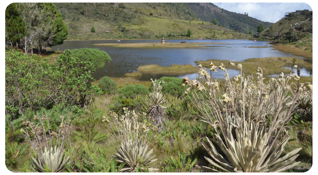 Empresa de la Industria Funeraria es finalista de los “Oscar” latinoamericanos del medio ambiente