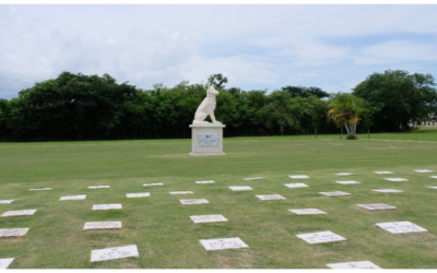 Pet Cemetery: Un descanso digno para tu mejor amigo