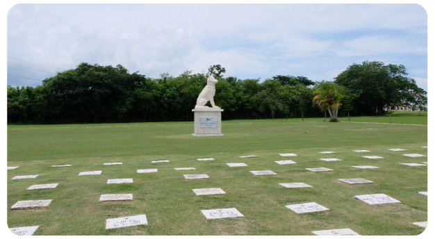 Pet Cemetery: Un descanso digno para tu mejor amigo